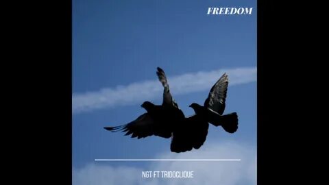 High flying bird