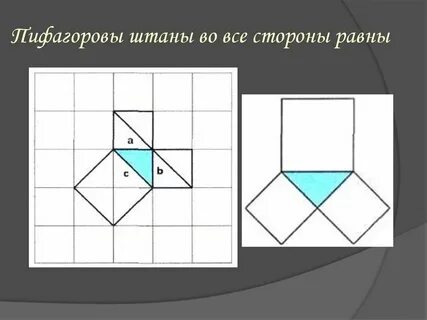 Штаны во все стороны