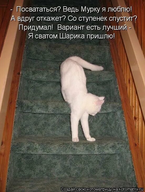 за первого кто посватается пойду. фразы о правах человека. делай что хочешь и не спрашивай разрешений вдруг откажут. пуховик путина. вдруг откажет.