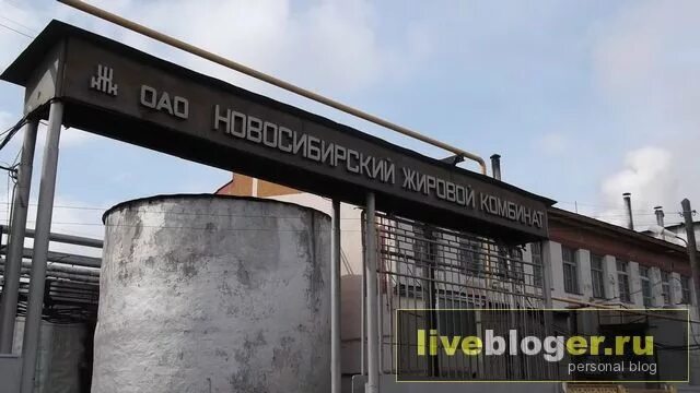 Линия дезодорации \масла. Жировой завод. Русагро ежк. Жировой завод. Жировой завод.