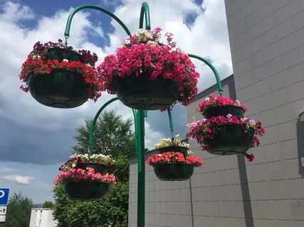 Подставки для петуний из металла