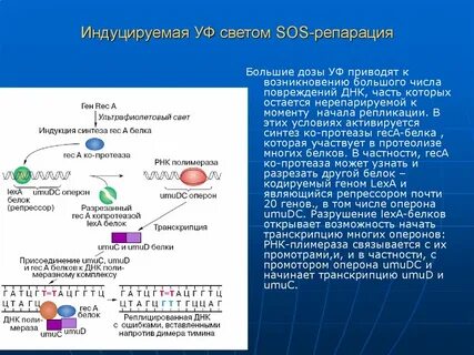 Будет ли репарация