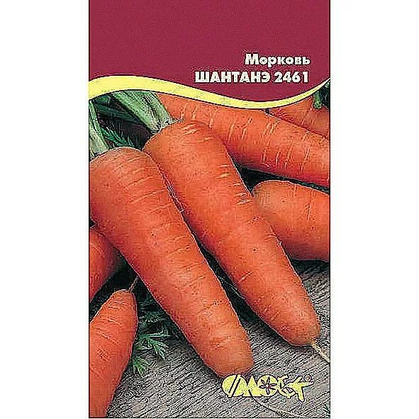 Две морковки интернет магазин для кондитеров. Морковь на белом фоне. 2 морковки. Морковка монтажная. Две морковки интернет магазин.