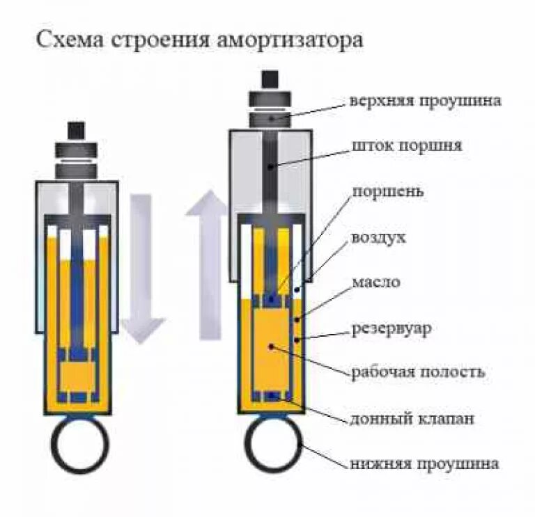 Устройство амортизатора автомобиля схема. Схема масляного амортизатора. Конструкция масляного амортизатора. Амортизатора газовая задняя схема.