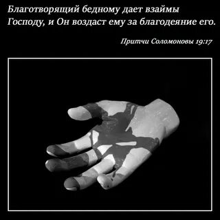 Песня я дам тебе взаймы сердечного тепла