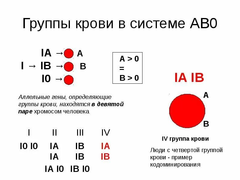 Система АВО группы крови таблица. Группы крови человека по системе АВО. Группа крови по системе АВО таблица. Схема определения групп крови по системе АВО. 15 группа крови