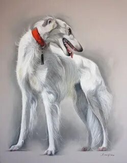 Борзый борз