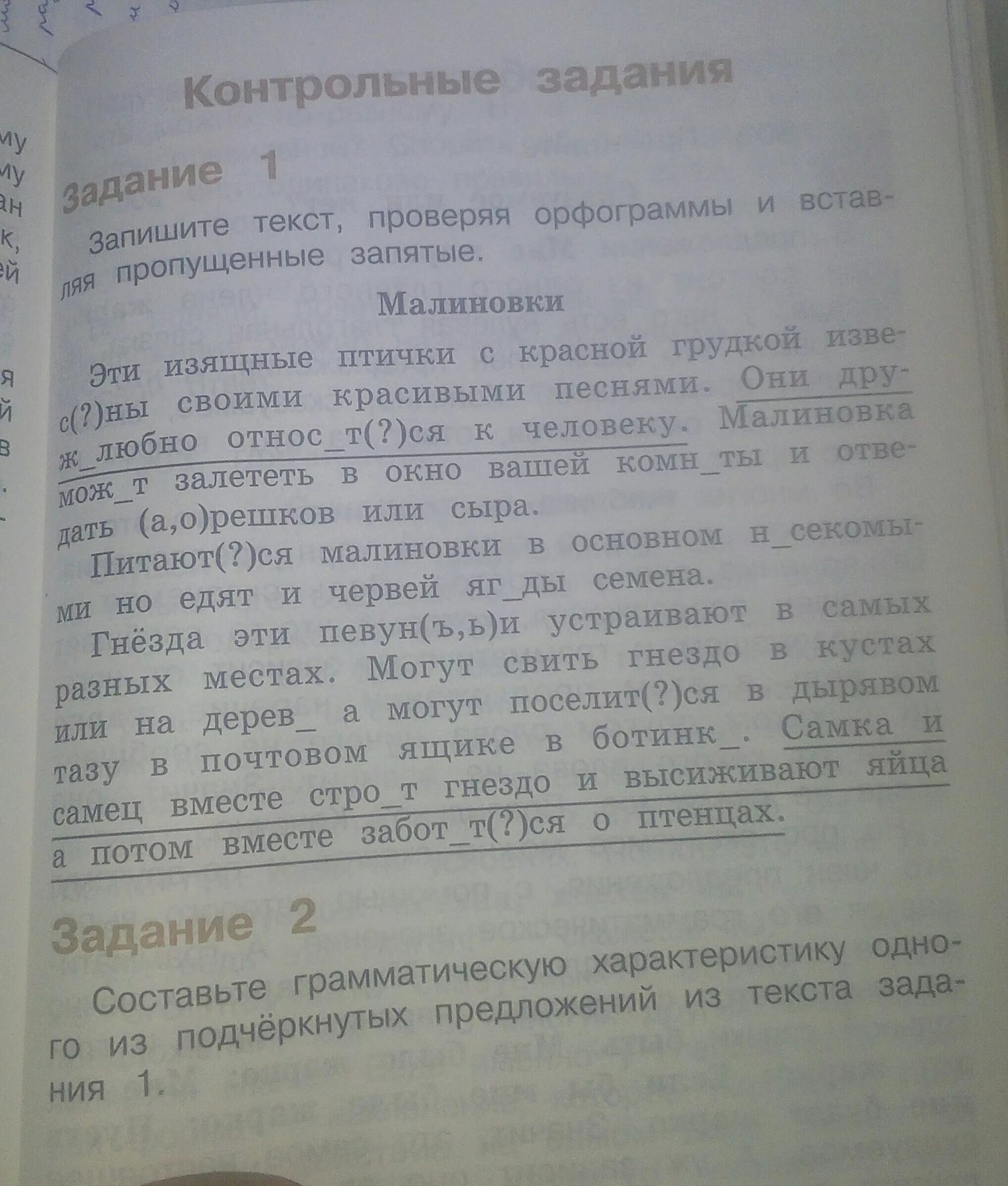 Запишите текст в соответствии с требованиями. Вставьте пропущенные запятые. вставьте пропущенные запятые текст. проверь пропущенные запятые проверьте пропущенные 5 запятых. культурные растения вставь пропущенные запятые.