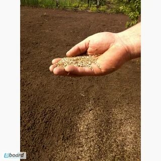 Обещать увешать засеять овеять замешать приехать заместить