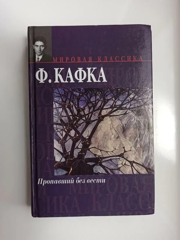 Кафка пропавший без вести книга. Кафка созерцание. Франц кафка пропавший без вести. Пропавший без вести кафка. Кафка эксклюзивная классика.
