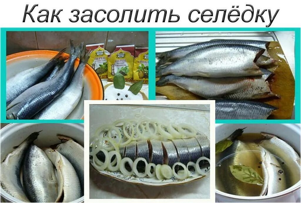 Вкусный посол селедки в домашних. Солёная селёдка в домашних. Малосольная селедка. Рыба сельдь соленая. Сельдь домашнего посола.