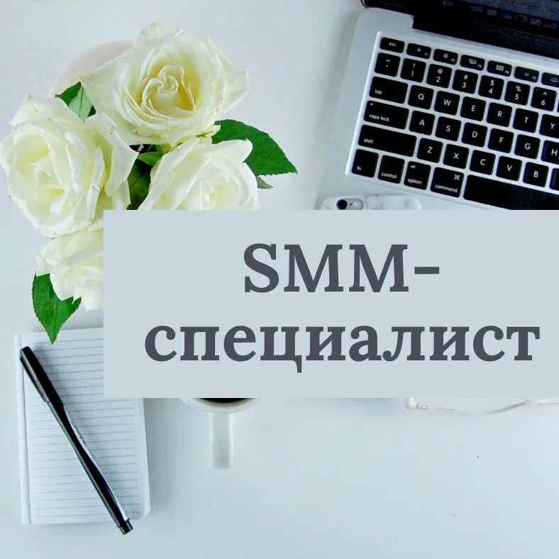 Инсайт для смм специалиста. Смм специалист отзывы. Курсы для богатых людей. Портфолио смм специалиста. Смм специалист отзывы.