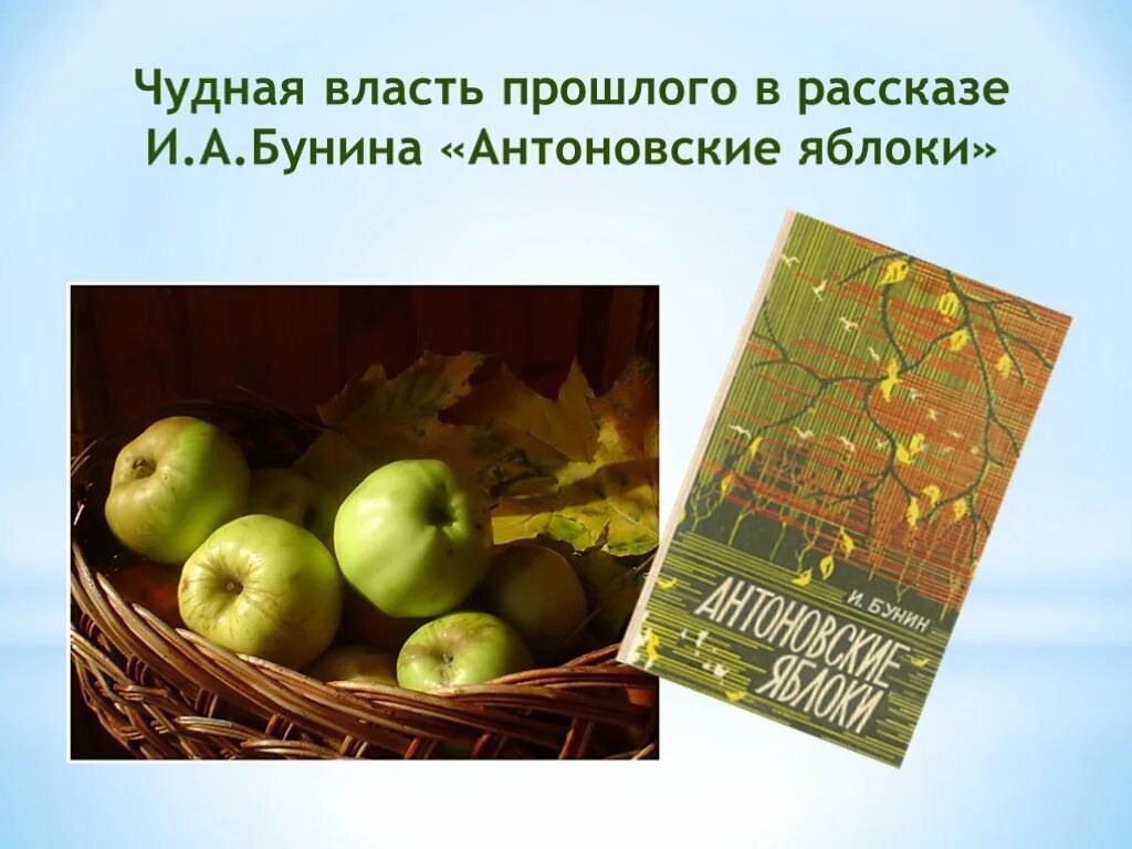 Бунин антоновские яблоки краткое. Антоновские яблоки что является предметом воспоминаний. Антоновские яблоки книга. "антоновские яблоки". Антоновские яблоки картинки бунин.