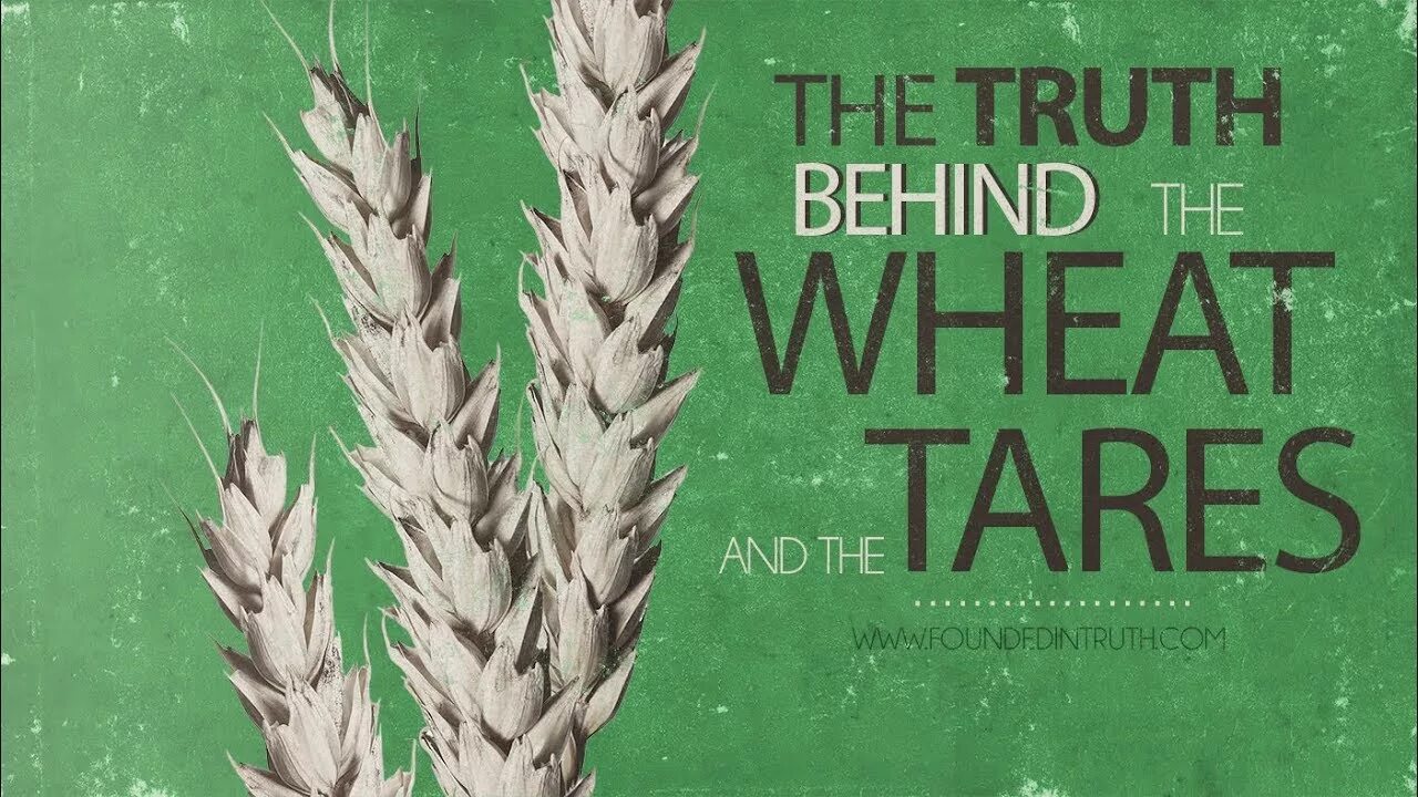 One wheat mark читать. The wheat and the tares lds.