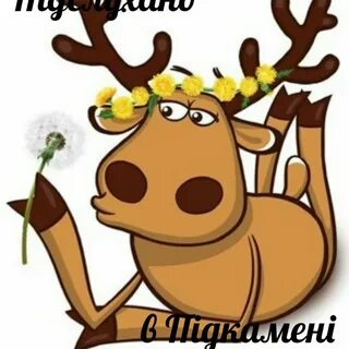 Подслушано северное