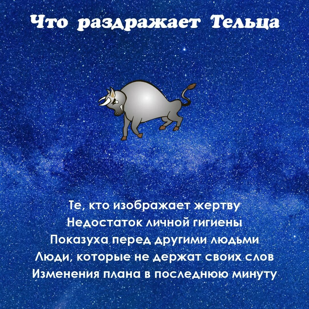 Девушкам тельцам нравятся. Телец гороскоп. Знак зодиака Телец. Высказывания про тельца. Телец прикольный гороскоп.