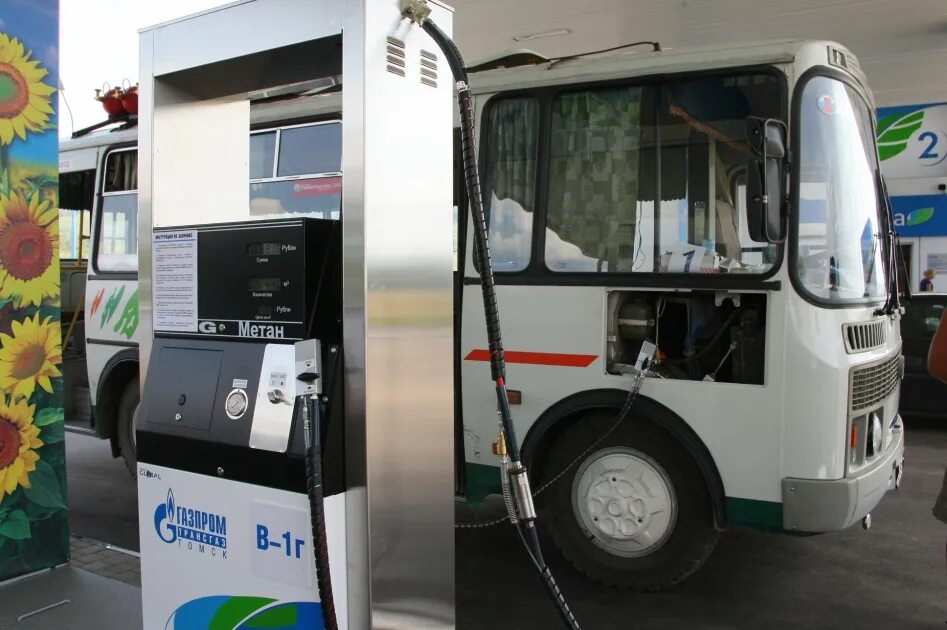 Автобус паз бензин. Газомоторное топливо метан. Пазик 3205 на газу на Газпроме. Автобус заправляется. Автобус на природном газе.