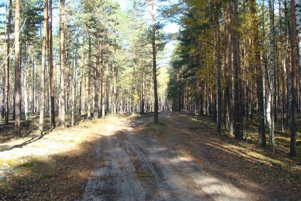 Бакшеево московская область