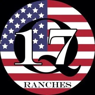 Q 17