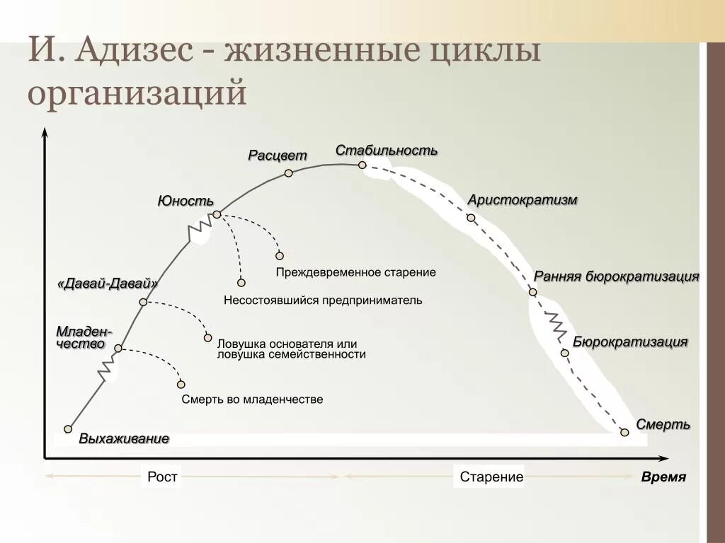 Адизес управление жизненным. Ицхак Адизес стадии жизненного цикла организации. Ицхак Адизес этапы жизненного цикла. Модель жизненного цикла организации согласно теории и. Адизеса.. Жизненный цикл Адизеса схема.