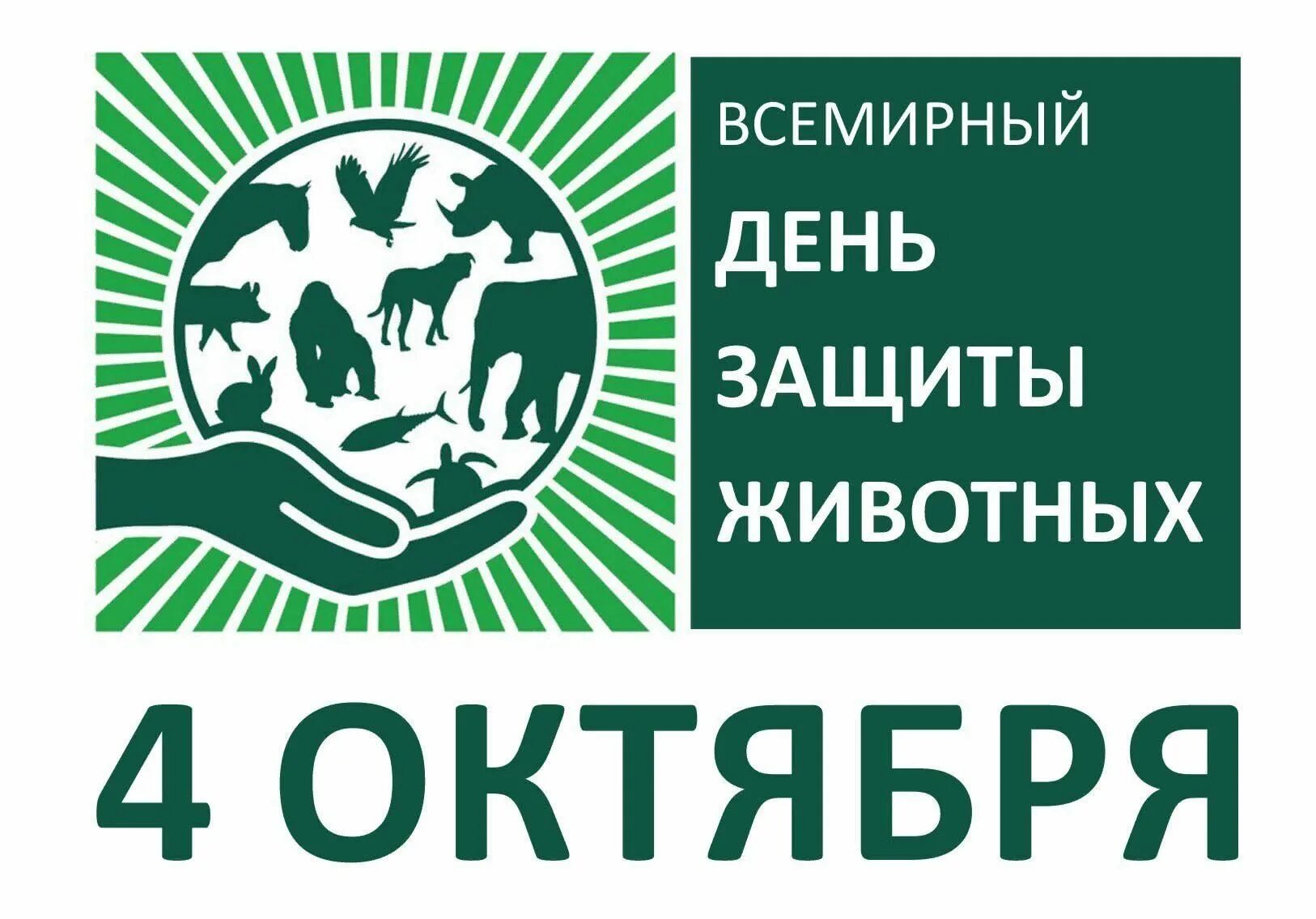 Праздник день защиты животных. Праздник день защиты животных