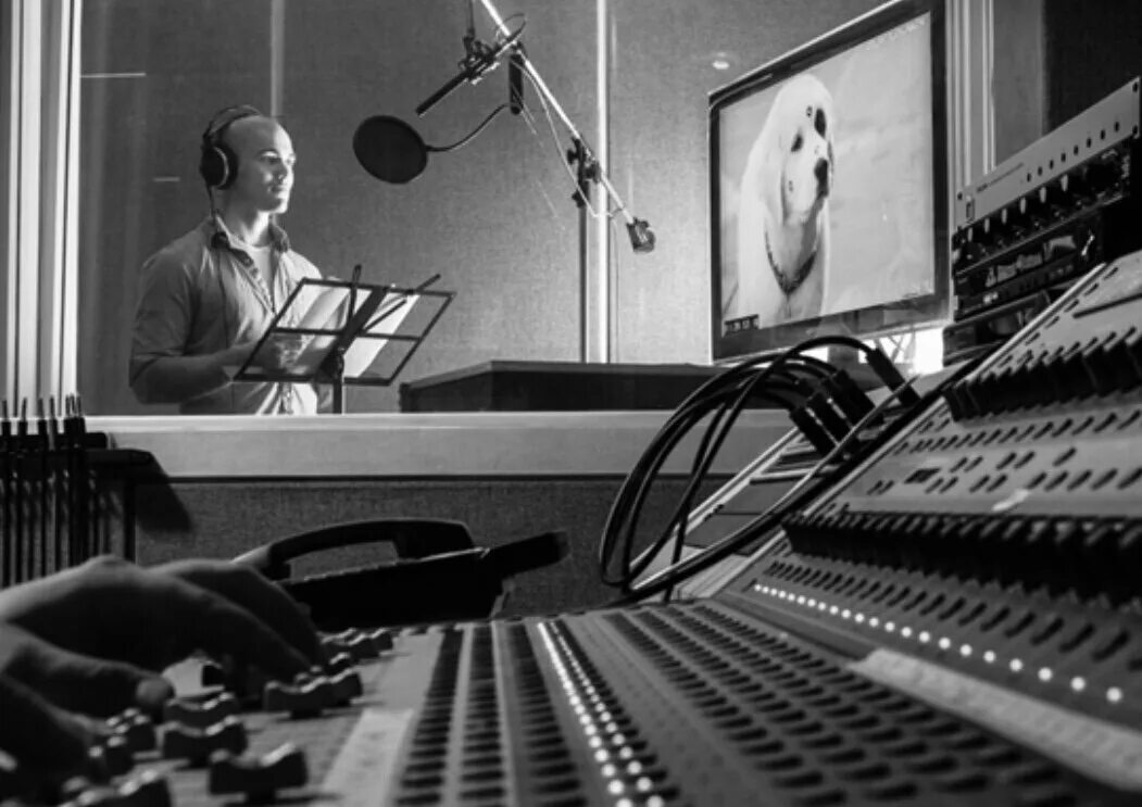 Василий ливанов озвучка. Озвучивание геншин. Нобухико окамото геншин. Мадагаскар 3 джессика. Озвучка мультфильмов.