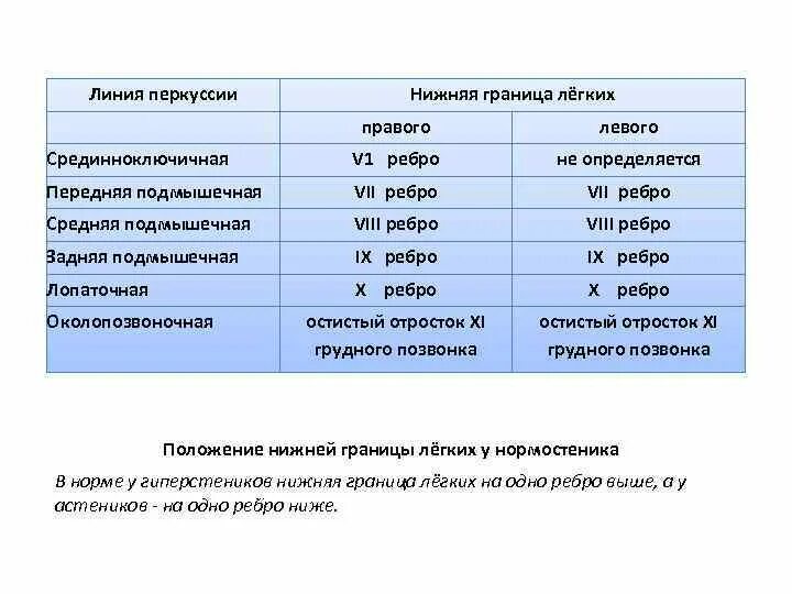 Топографические границы легких. Топографическая перкуссия легких нижние границы легких норма. Верхние границы легких в норме. Границы правого и левого легкого таблица. Нижние границы правого и левого легкого в норме.