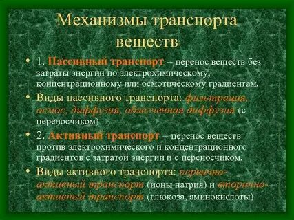 Механизмы транспорта