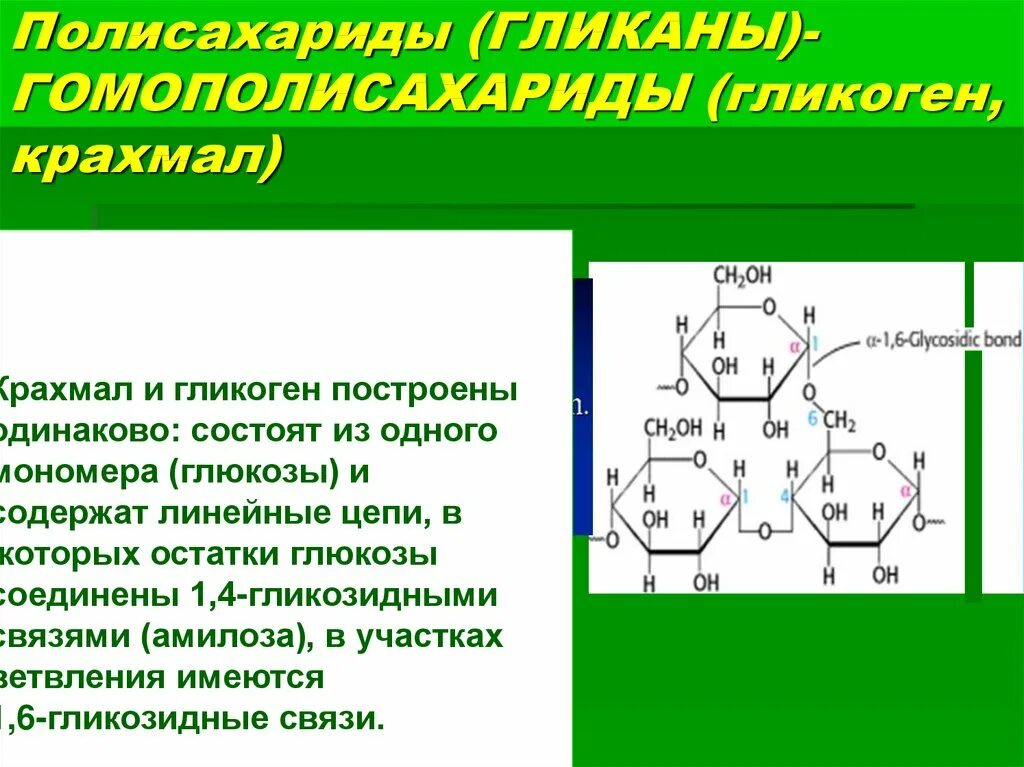 Какой вид углеводов гликоген. Какой вид углеводов гликоген