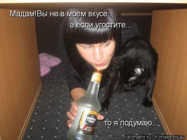 Фильм ты не в моем вкусе. Не в моём вкусе фильм 2014. Ты не в моём вкусе. Он даже не в моем вкусе. Не в моём вкусе" (2014).