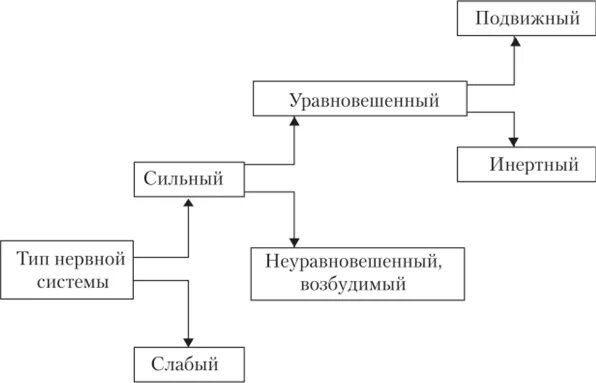 Характеристика типов высшей нервной деятельности по павлову. Сильный уравновешенный тип нервной системы. Сильный подвижный инертный. Сильный уравновешенный подвижный тип. Типы высшей нервной деятельности по павлову схема.