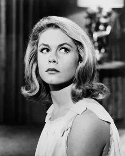 Pictured: A black and white portrait of Hollywood starlet Elizabeth Montgom...