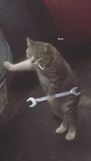 Подтянулись улыбнулись