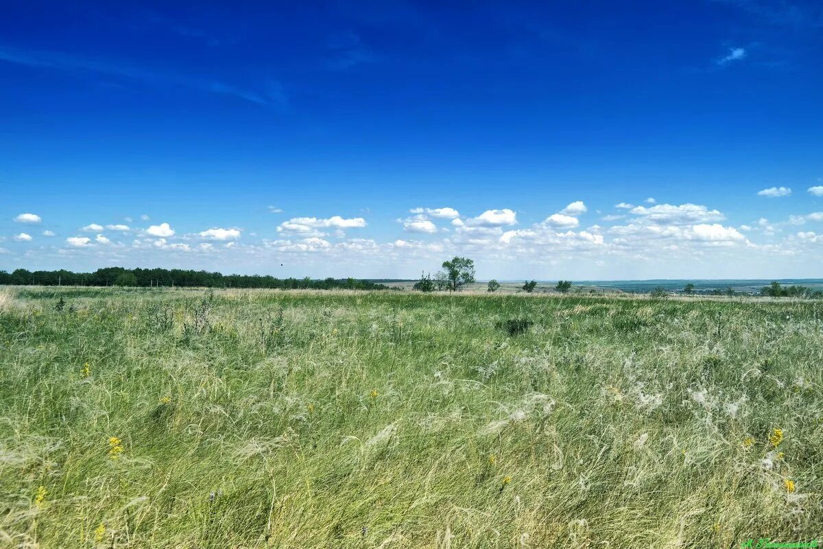 ах ты степь широкая. степь широкая авторы. ах ты степь широкая. степь широкая. ах ты степь широкая степь раздольная.