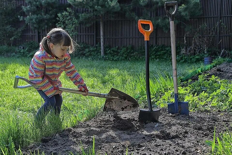 Решение трудиться. Люди труда. Работодатель иллюстрация. Хорошие поступки детей. Люди труда.