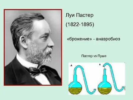Луи пастер открытия