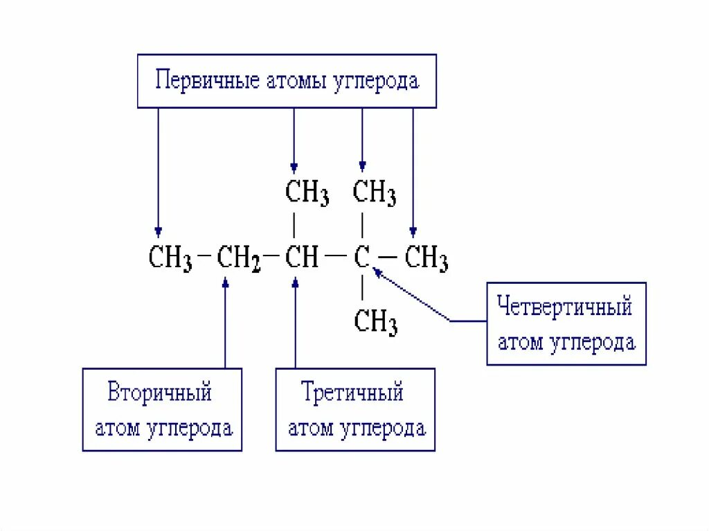 Два четвертичных атома углерода. Первичные вторичные и третичные атомы. Первичный вторичный третичный четвертичный углерод. Первичные и вторичные атомы углерода. Вторичные атомы углерода это