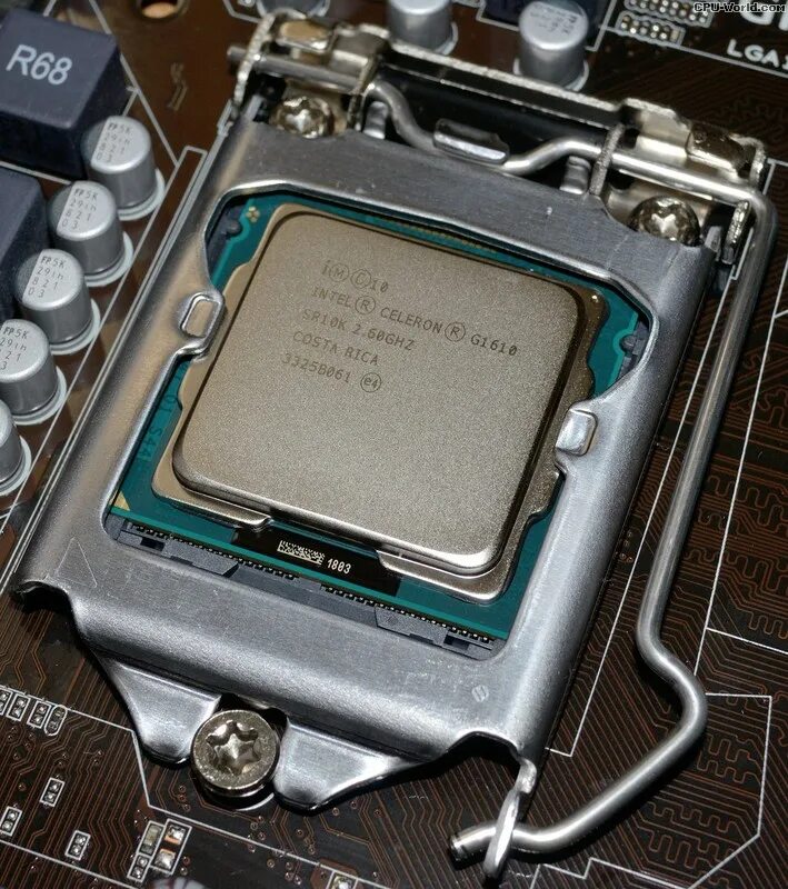 1155 процессоры для игр. Процессор Socket-1155 Intel Celeron, 2,5 ГГЦ. Процессор Intel Celeron g1610. Процессор s1155 Intel Celeron g1610 Tray. Процессоры под сокет 1155 Celeron.