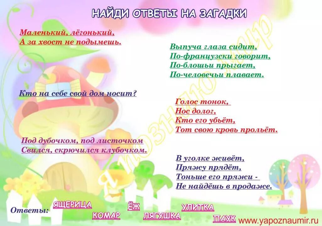 отгадывать загадки с ответами. загадка по киргизски. загадки и отгадки. загадки отгадывать загадки. где найти ответы на загадки.