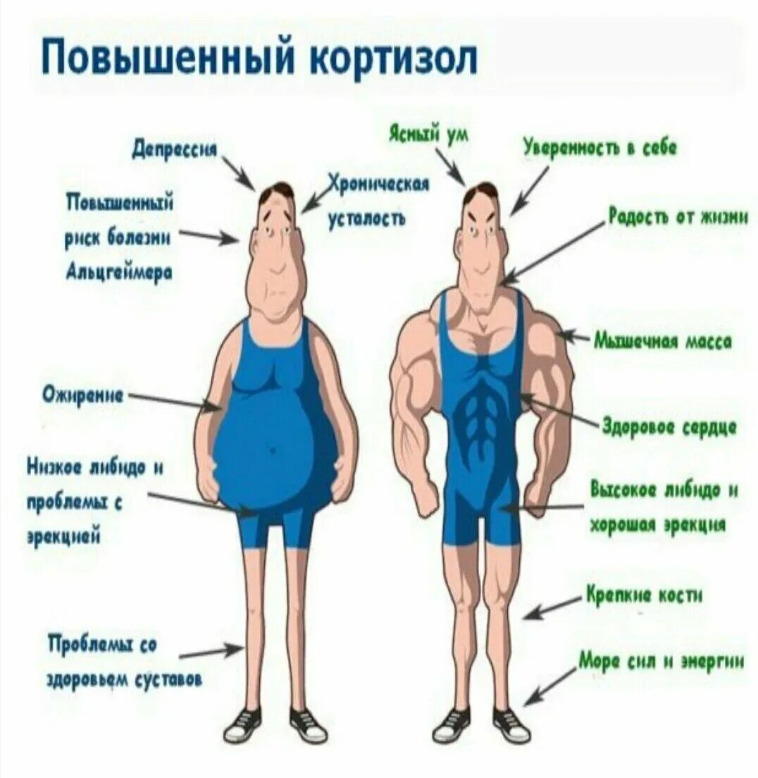 Опасное повышение тела. Кортизол гормон. Кортизол гормон стресса. Кортизол гормон атречау. Уровень гормона стресса кортизол.