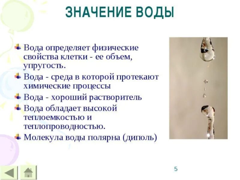 Какая роль воды в клетках. Свойства и значение воды. Значение воды в клетках организме.