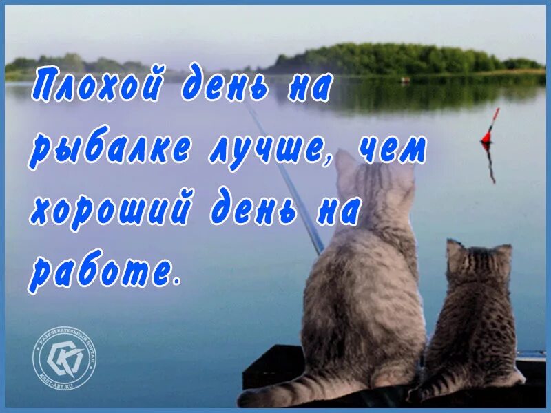 Ловлю поздравления. Доброе утро хорошей рыбалки. С добрым утром рыбаки. Открытки с добрым утром рыбаки. Добрый день на рыбалке.