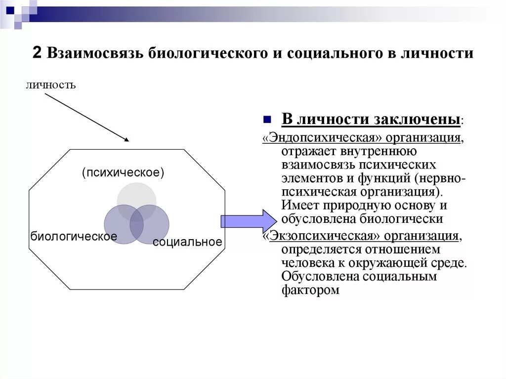 Соотношение социального и биологического в личности преступника. Взаимосвязь социального и биологического в личности психология. Соотношение биологического и социального в структуре личности. Проблема соотношения биологического и социального в человеке.