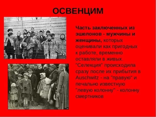Узники концлагерей презентация. Освобождение узников концлагерей презентация. Освенцим концлагерь узники. Освобождение узников концлагерей презентация. Узники концлагерей презентация.