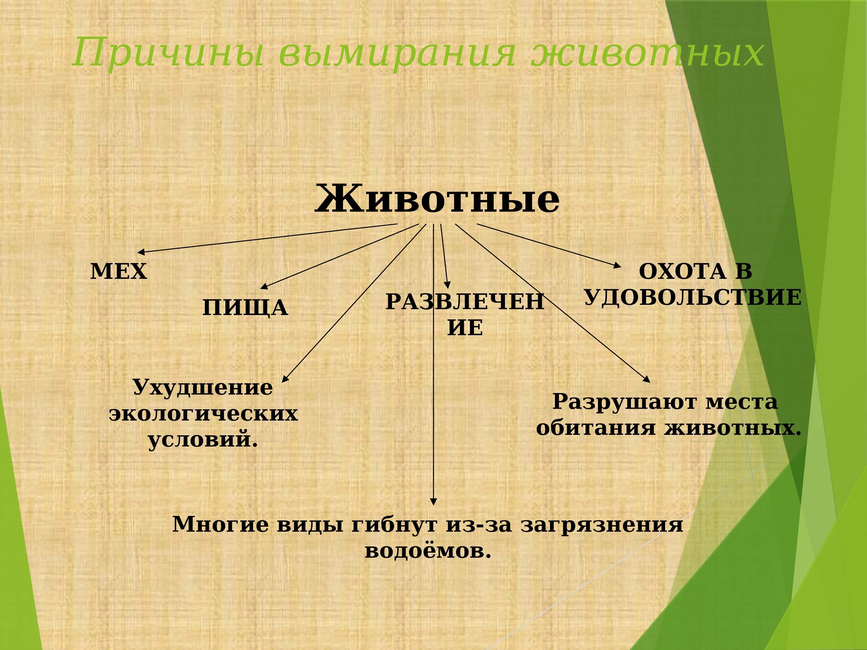 Причины исчезновения видов животных. Причины вымирания животных. Причины вымирания видов животных. Причины исчезновения некоторых видов животных.