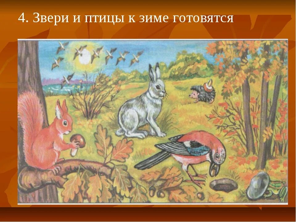 Звери готовятся к зиме предложения. Животные готовятся к зиме. звери готовятся к зиме. звери и птицы готовятся к зиме. дикие животные готовятся к зиме.