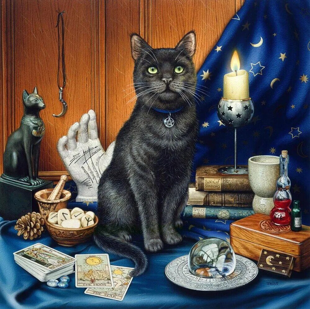 Ведьма и говорящий кот. Джеффри тристрам художник. коты geoffrey tristram. джеффри тристрам кошки. geoff tristram художник.