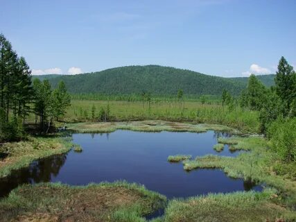Амурская область якутия