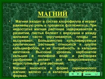 Для чего нужен калий для цветов