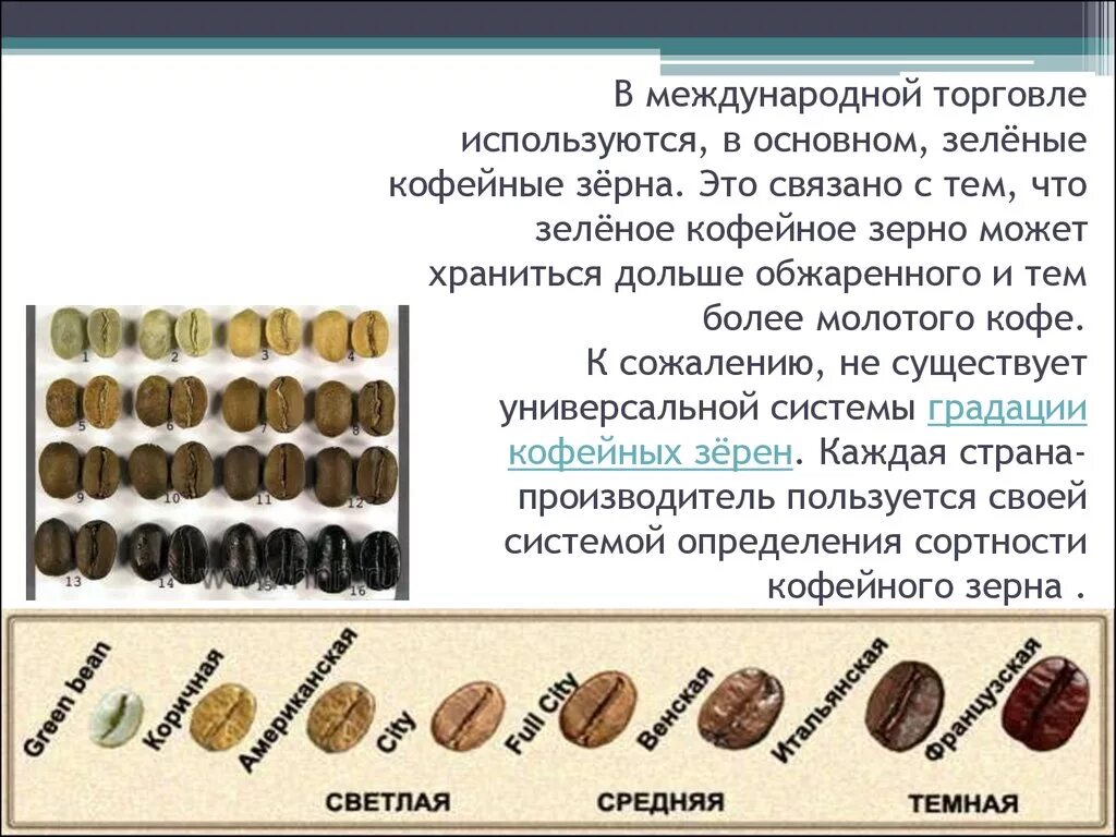 Как получается кофе. Вещества в кофейном зерне. Строение зерна кофе. Структура кофейного зерна. Оболочка кофейного зерна.